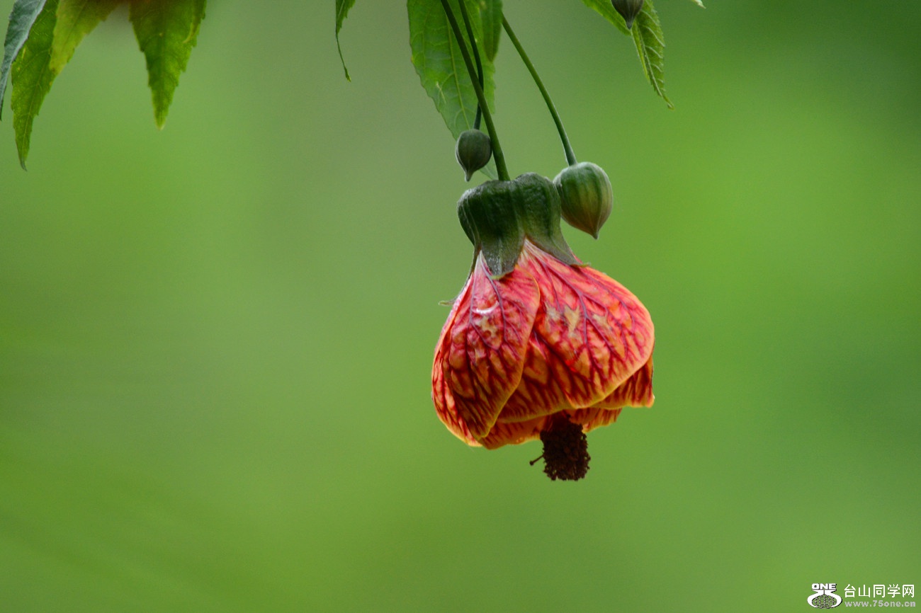 DSC_5146_16.jpg