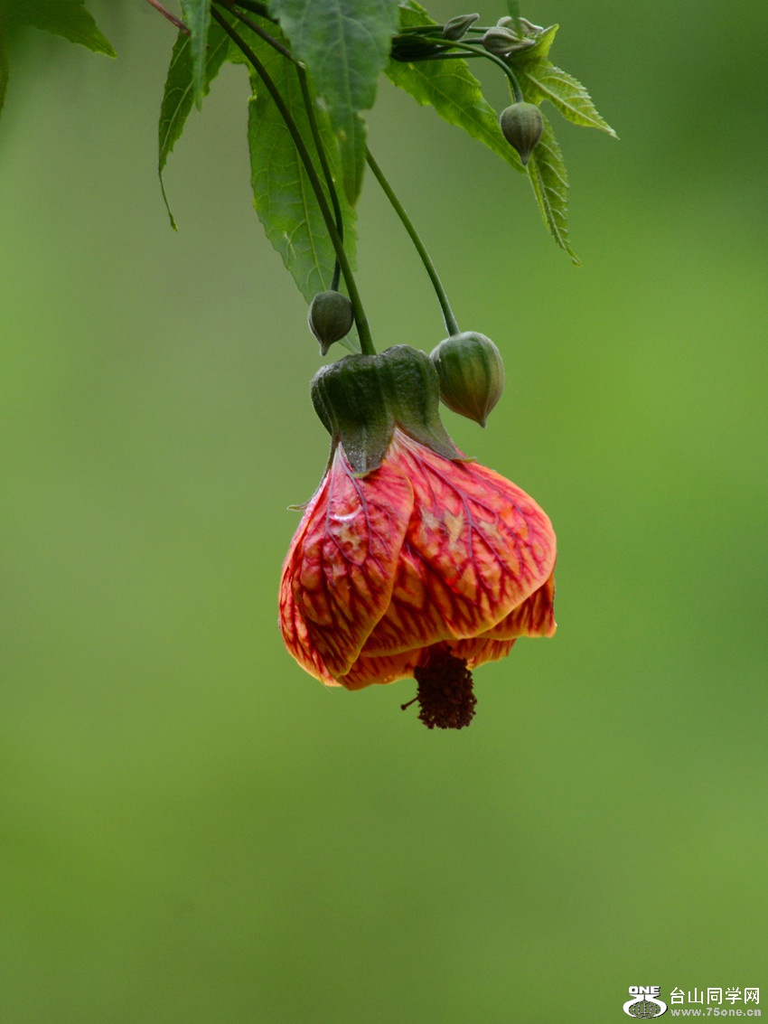 DSC_5147_17.jpg