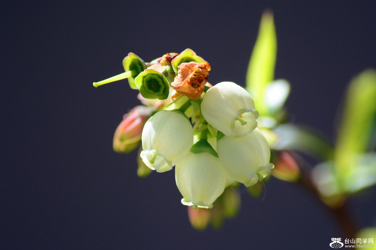 DSC_4659_23.jpg
