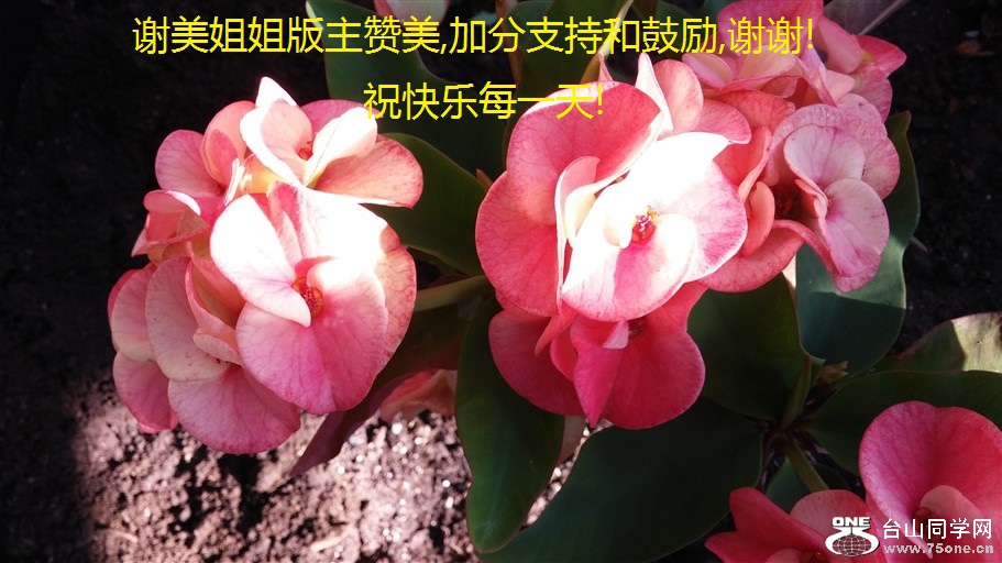 л,ӷֺ֧͹,лл!ףÿһ!.jpg