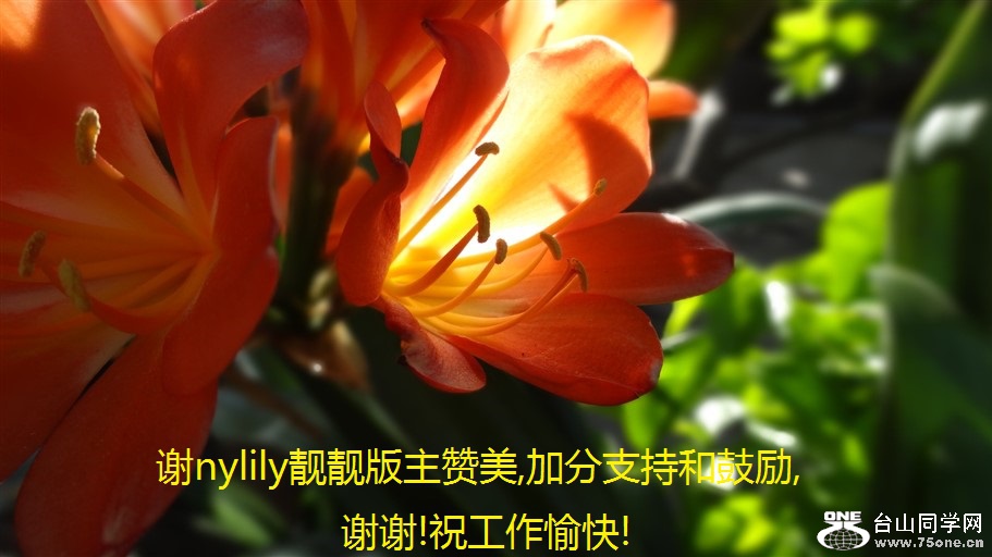 лnylily,ӷֺ֧͹,лл!ף!.jpg