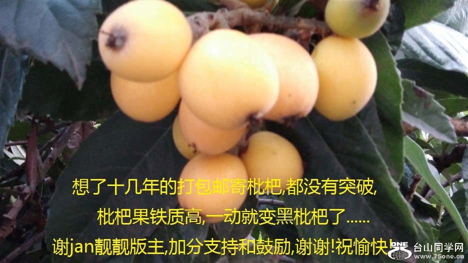 лjan,ӷֺ֧͹,лл!ף!.jpg