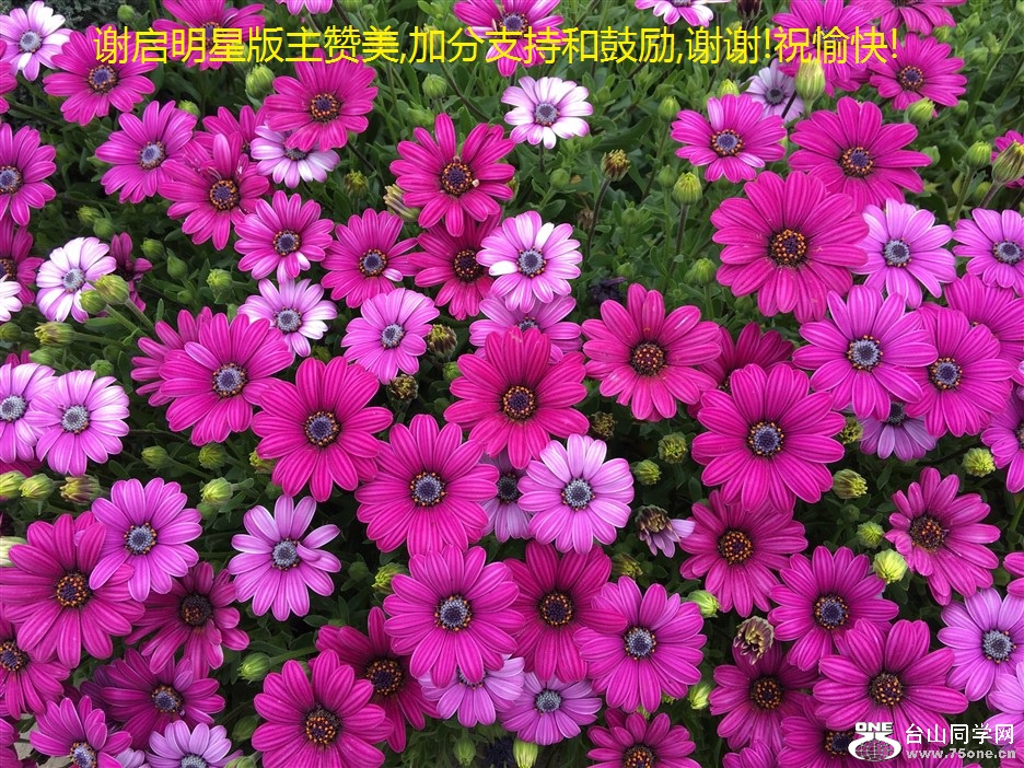 лǰ,ӷֺ֧͹,лл!ף!.jpg