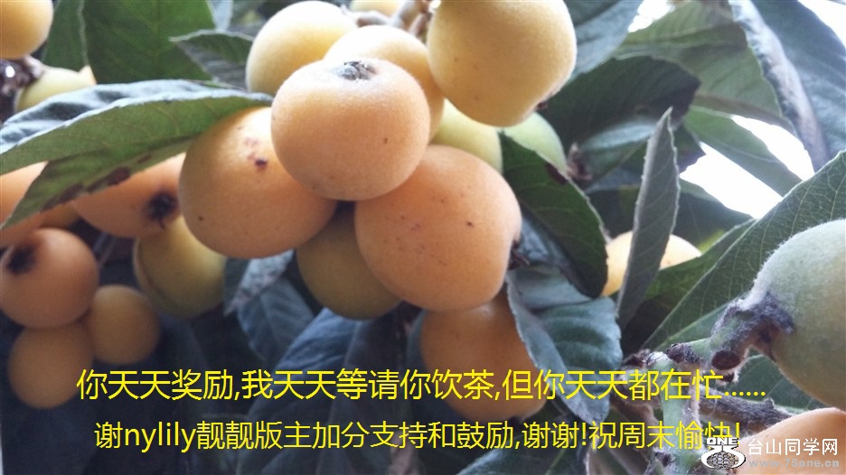콱,,춼æ......лnylilyӷֺ֧͹,лл!ףĩ!.jpg