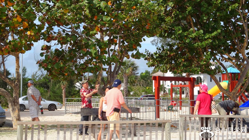 DSC03340_.jpg