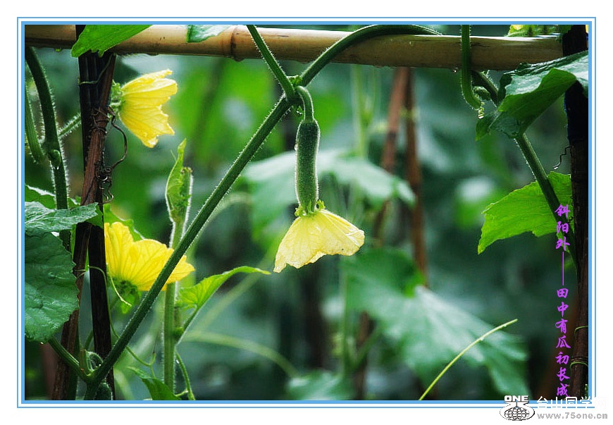 DPP_201.4.8-120105_.jpg