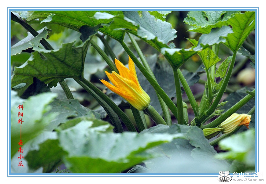 DPP_201.3.8-120110_.jpg