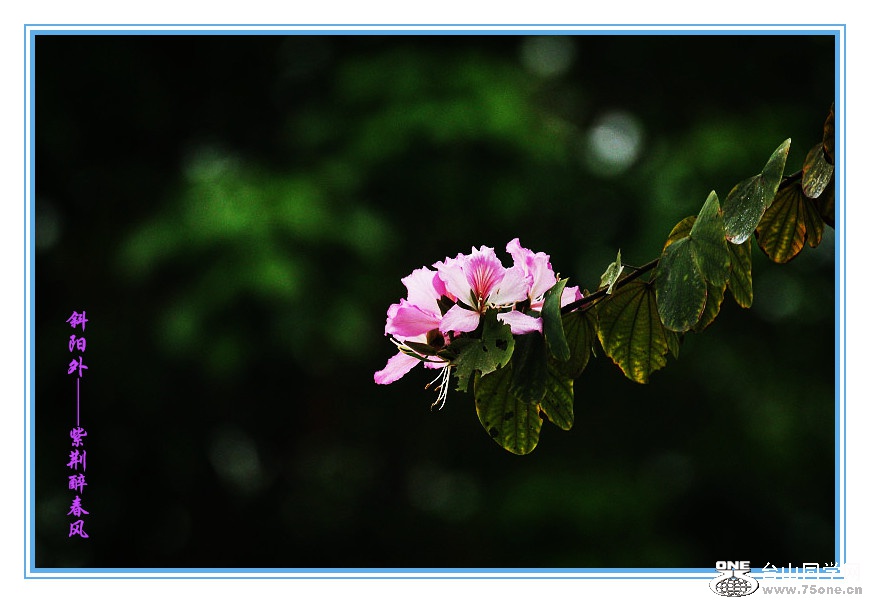 DPP_201.3.8-120150_.jpg