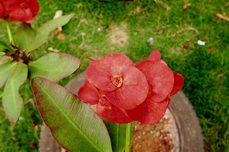 DSCF4035.JPG