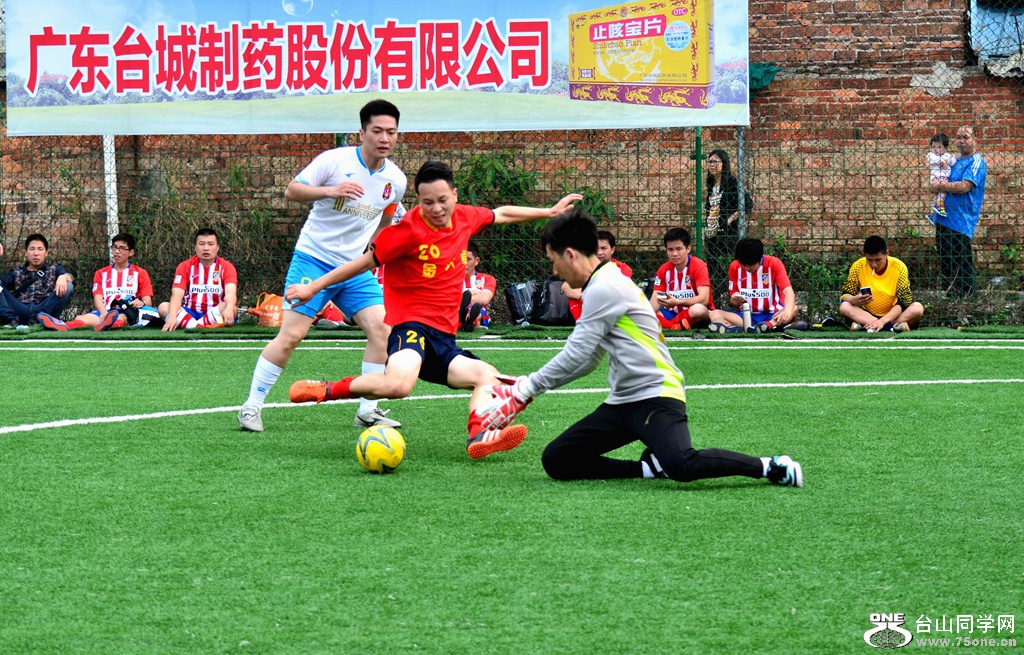 DSC_3100_.jpg