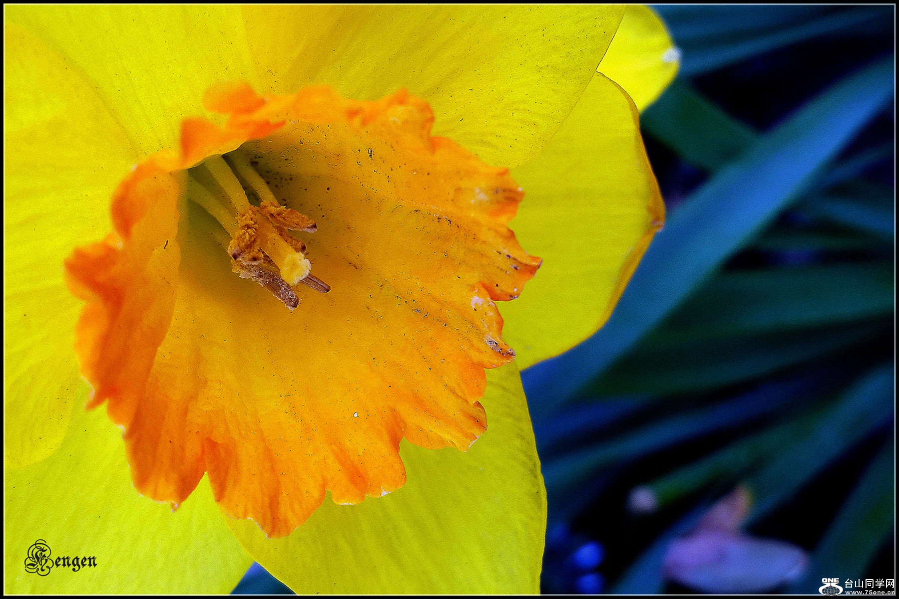 20160414_073447.jpg