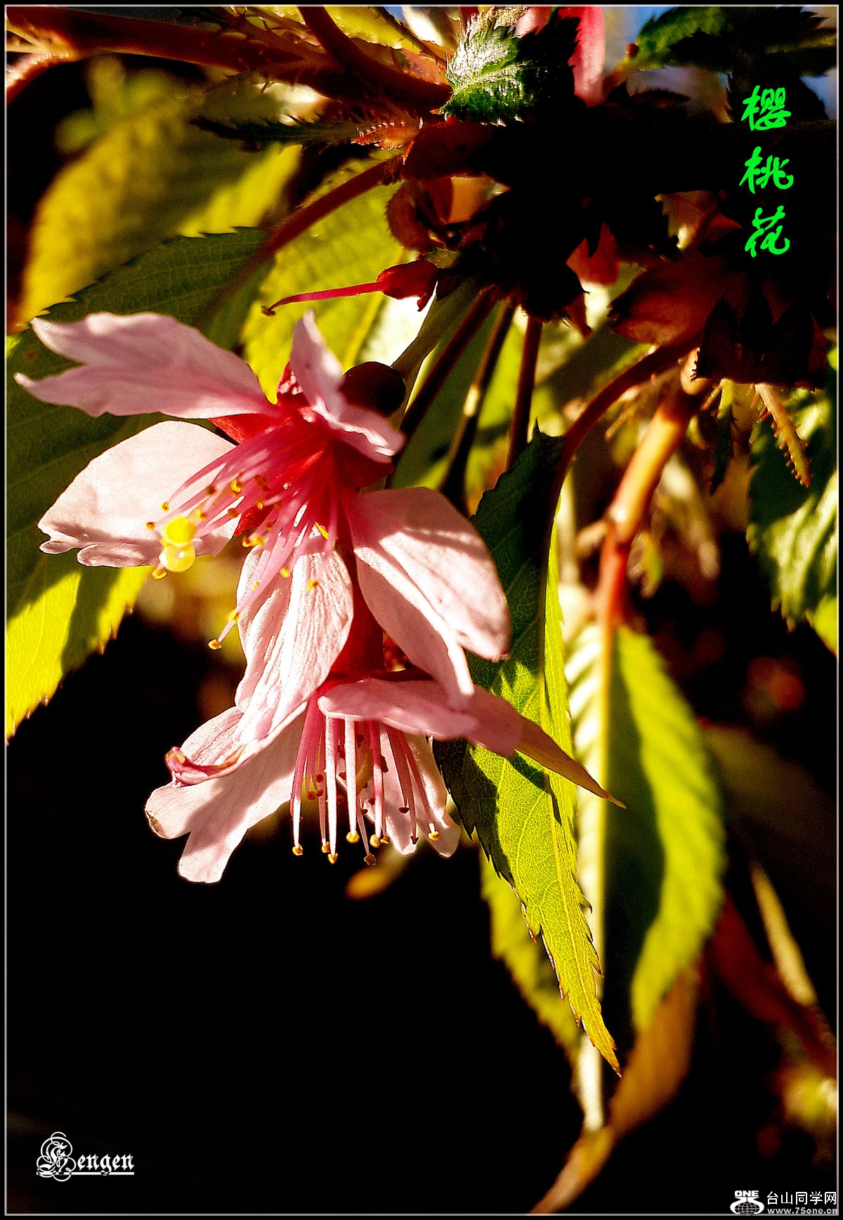 20160414_075134.jpg