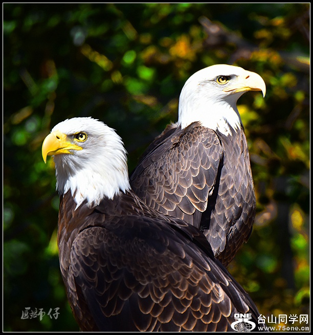 DSC_5183.jpg1.jpg