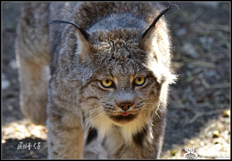 DSC_4607.jpg
