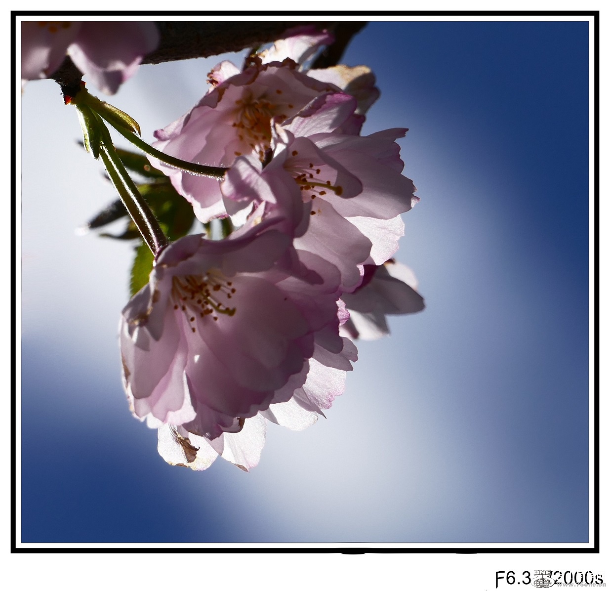 l2740729_conew1.jpg