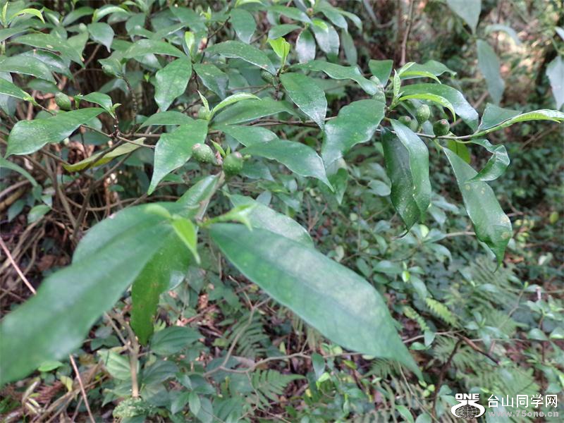 GEDC0097.jpg
