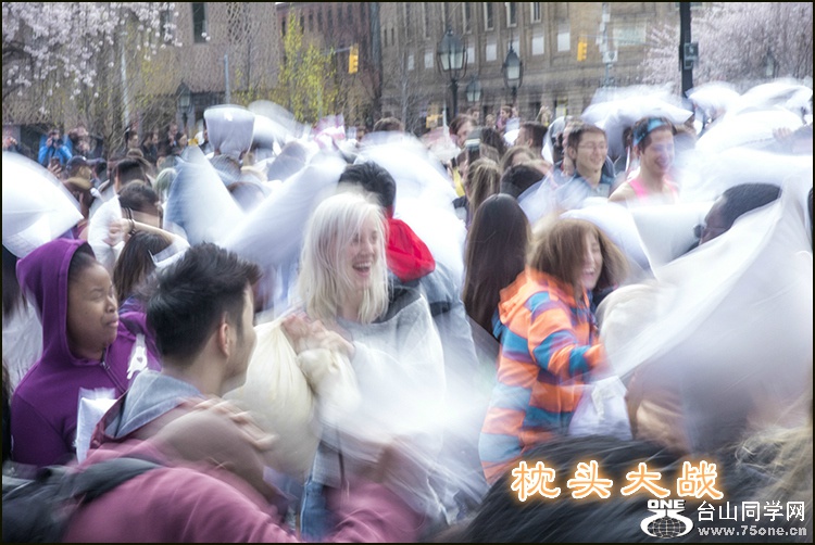 _DSC15_meitu_4.jpg