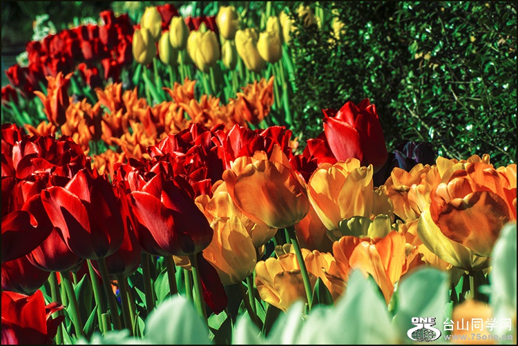 _DSC6360_meitu_1.jpg