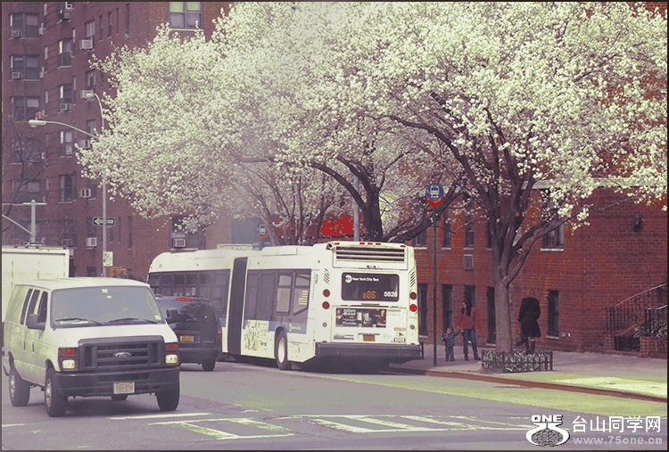 Untitled-3_meitu_1.jpg