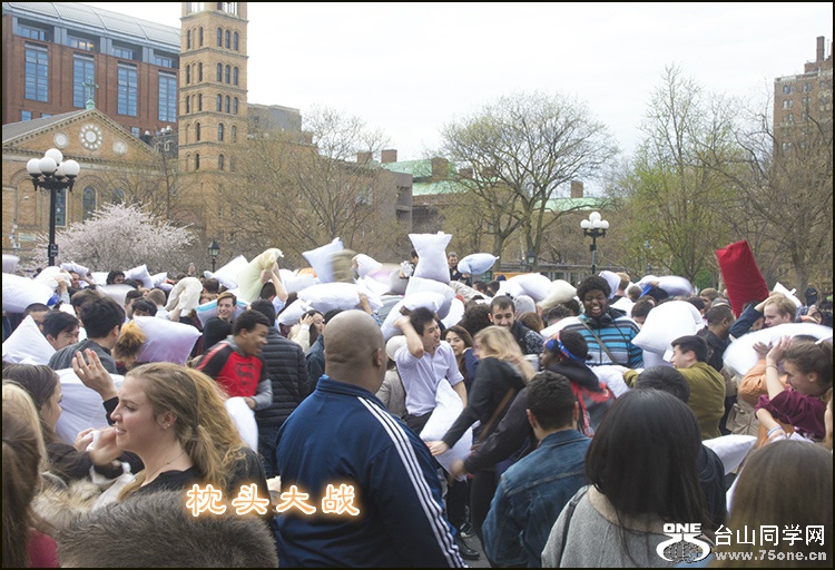 _DSC100.jpg