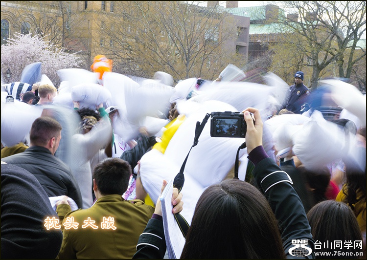 _DSC95.jpg