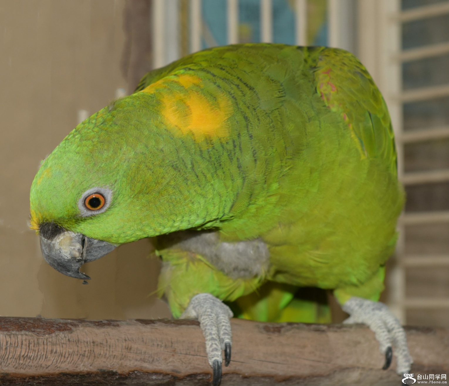 DSC_1959_meitu_2.jpg