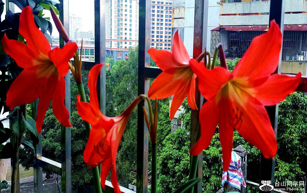 20160428_091431.jpg