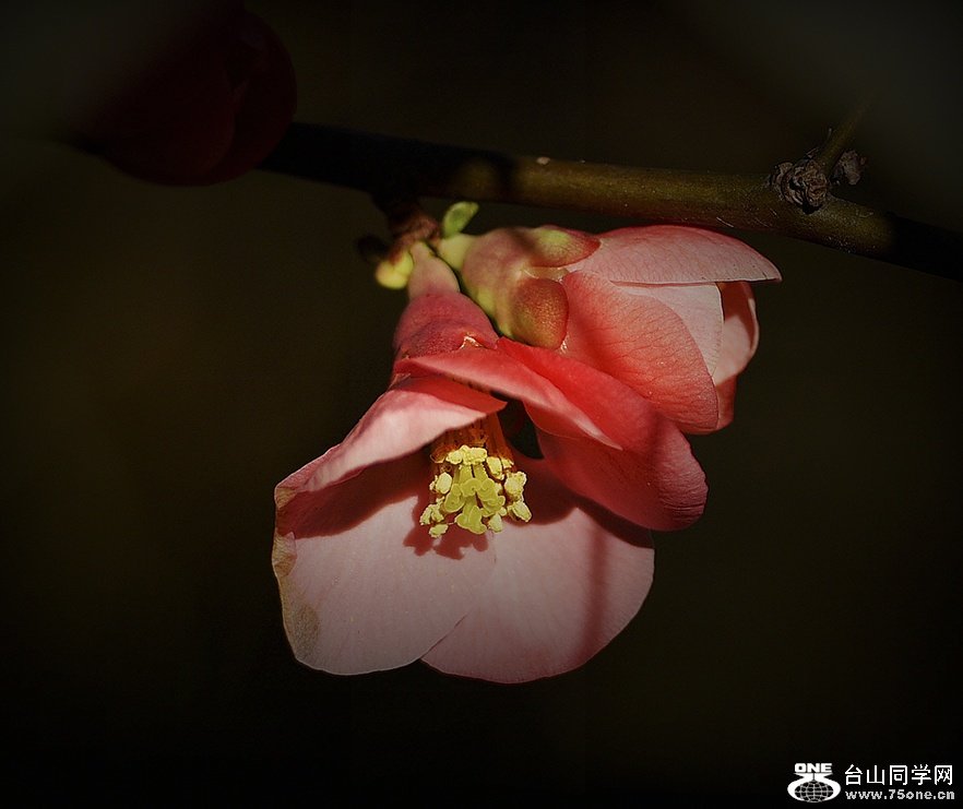 DSC_0436__1122.jpg