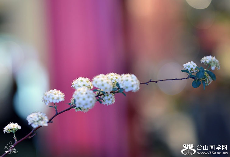 DSC_91773.jpg