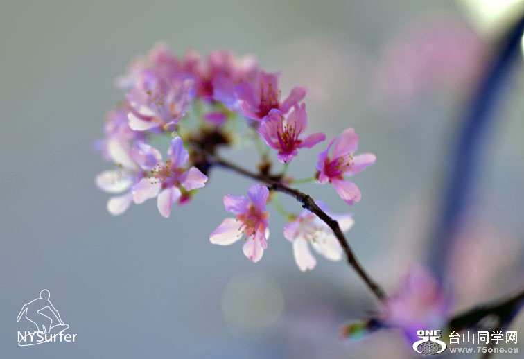 DSC_91633.jpg