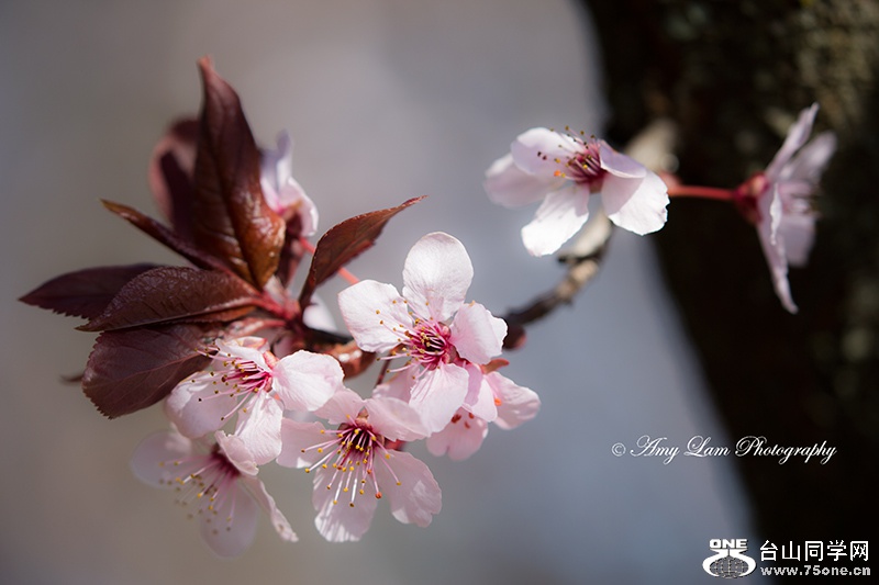 һ&nbsp;&nbsp;&nbsp;&nbsp;&nbsp;&nbsp; ϲ