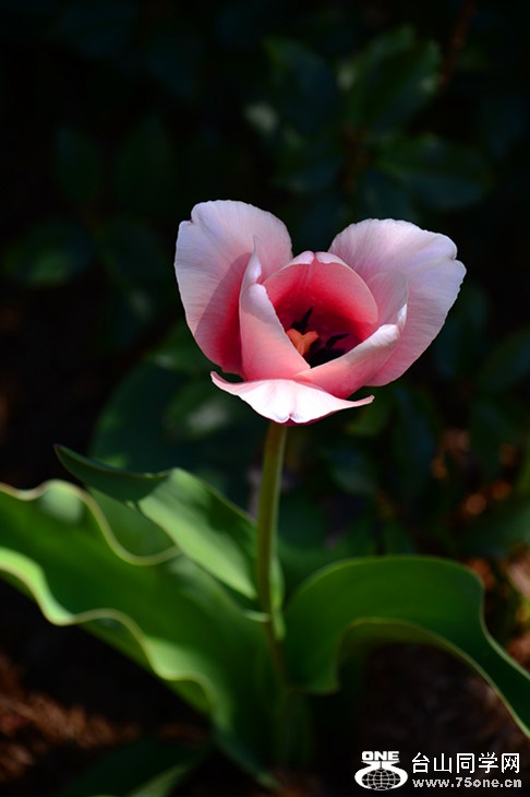 DSC_0776_.jpg