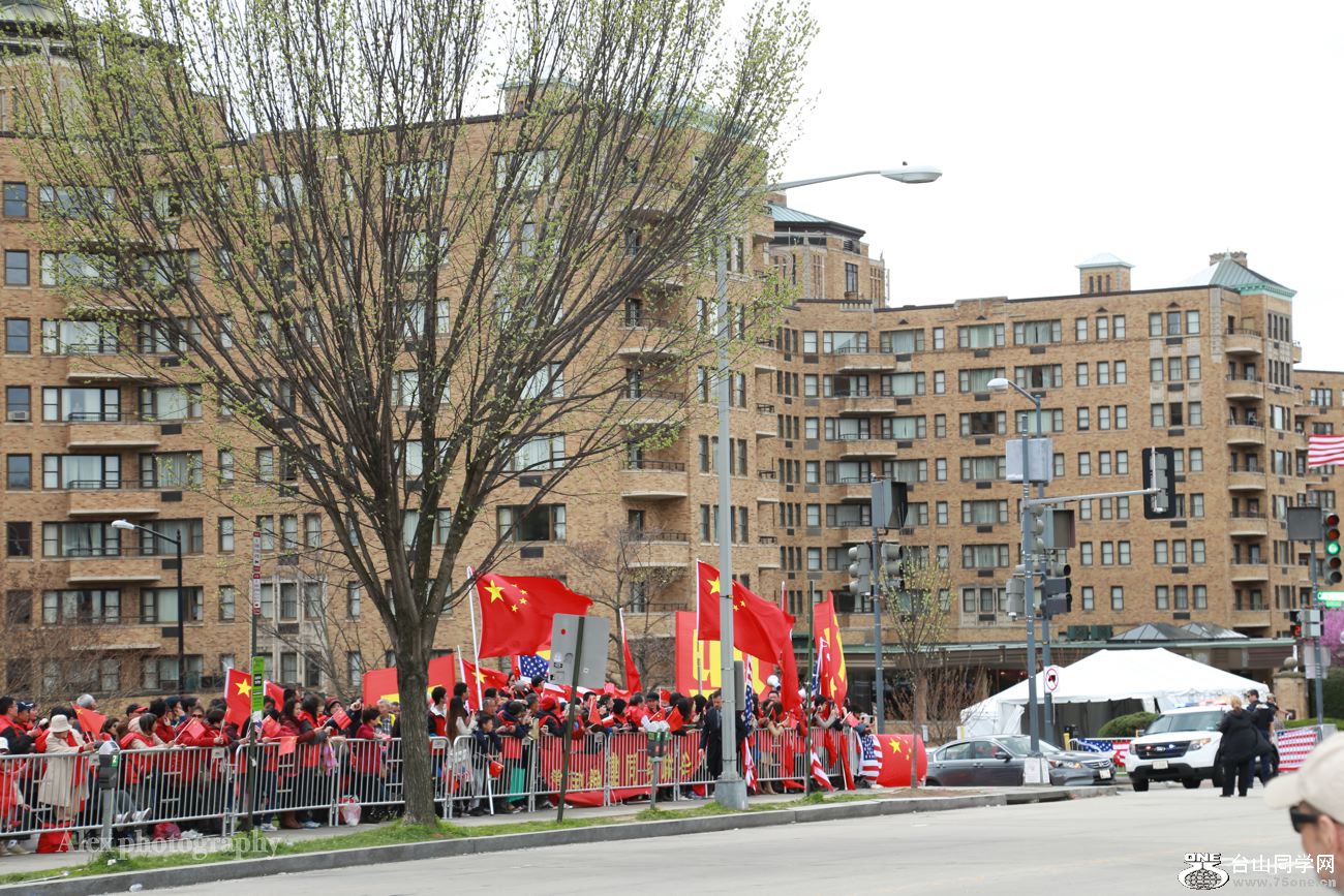 Pic-#106.jpg