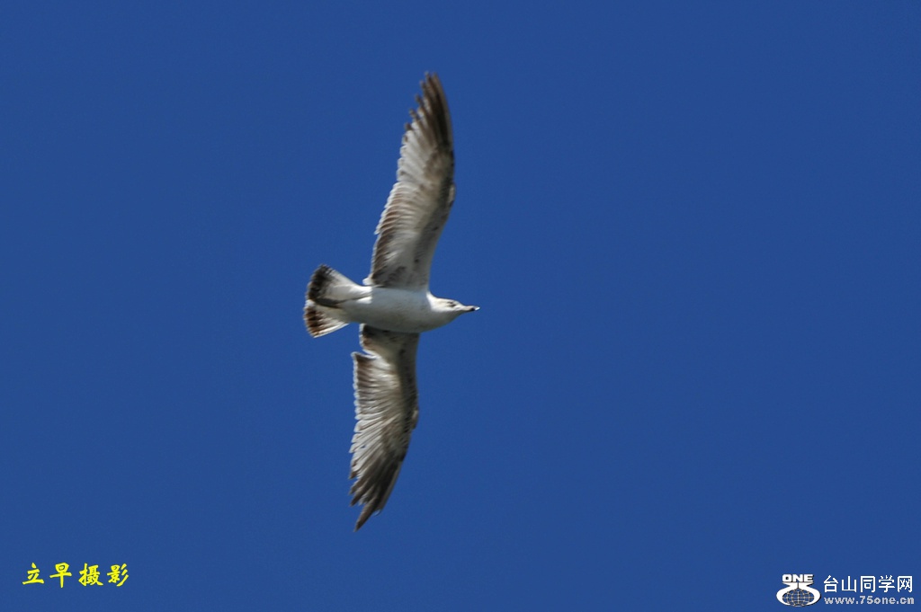 DSC_2083.JPG