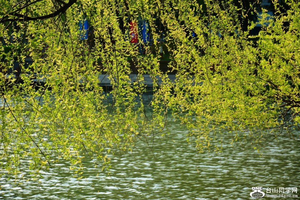 DSC_7669.jpg