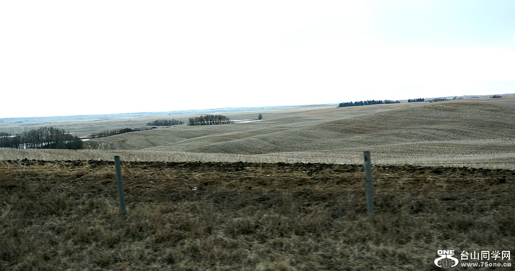 DSC01511.JPG