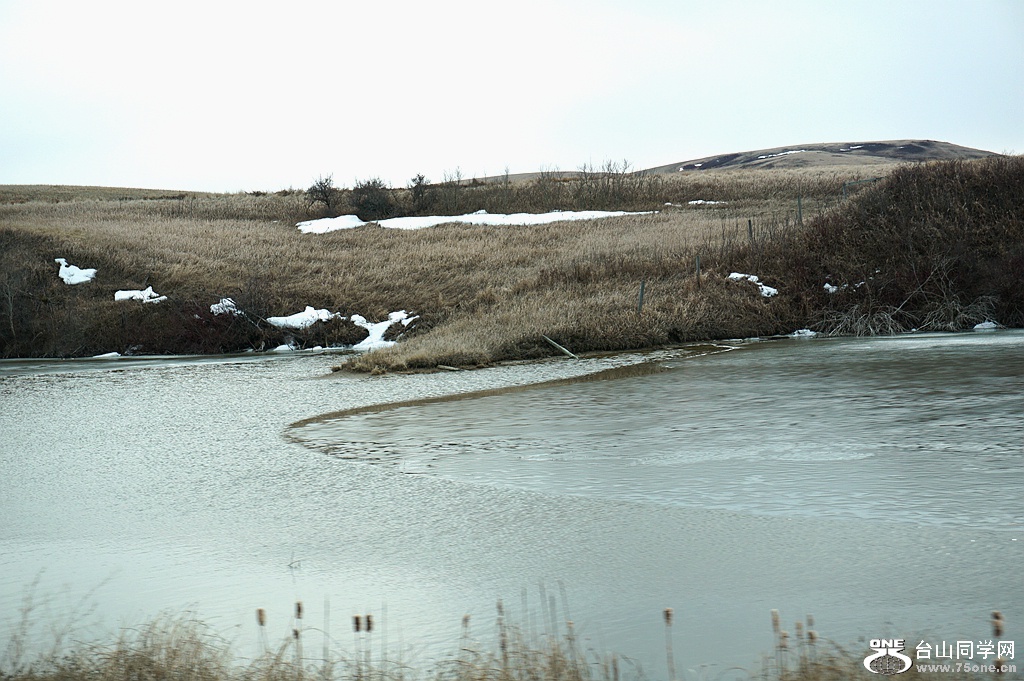 DSC01505.JPG