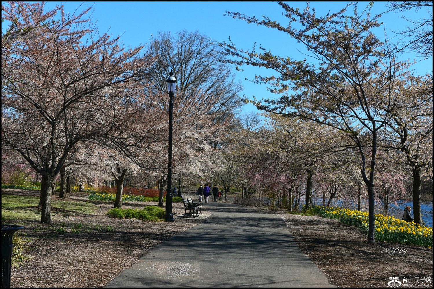 DSC_6665.JPG