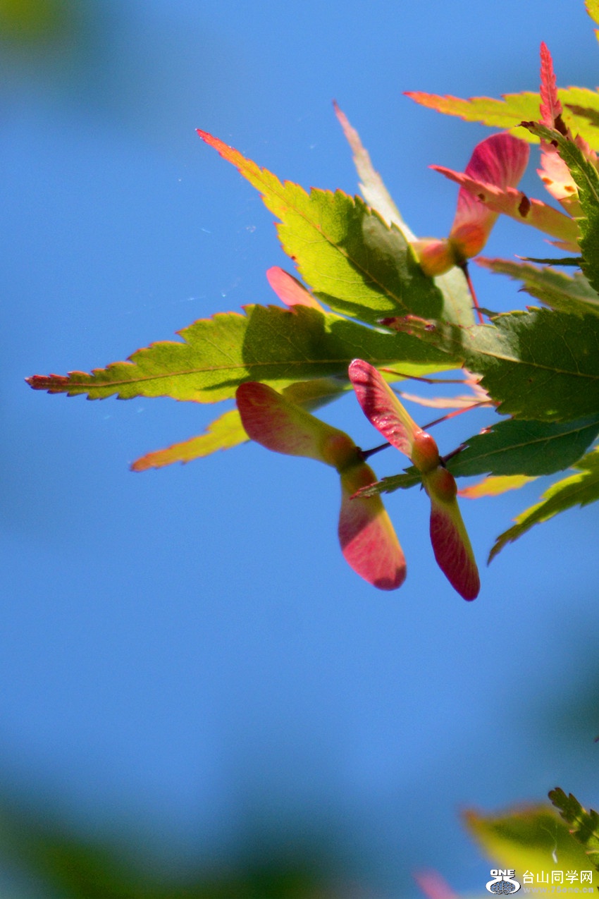 DSC_6448_38.jpg
