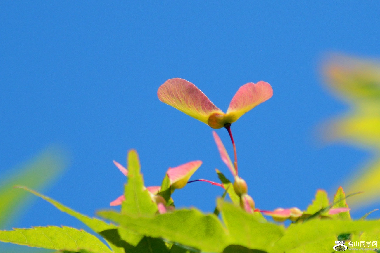 DSC_6506_19.jpg