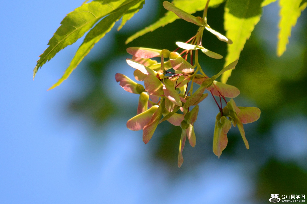 DSC_6512_17.jpg