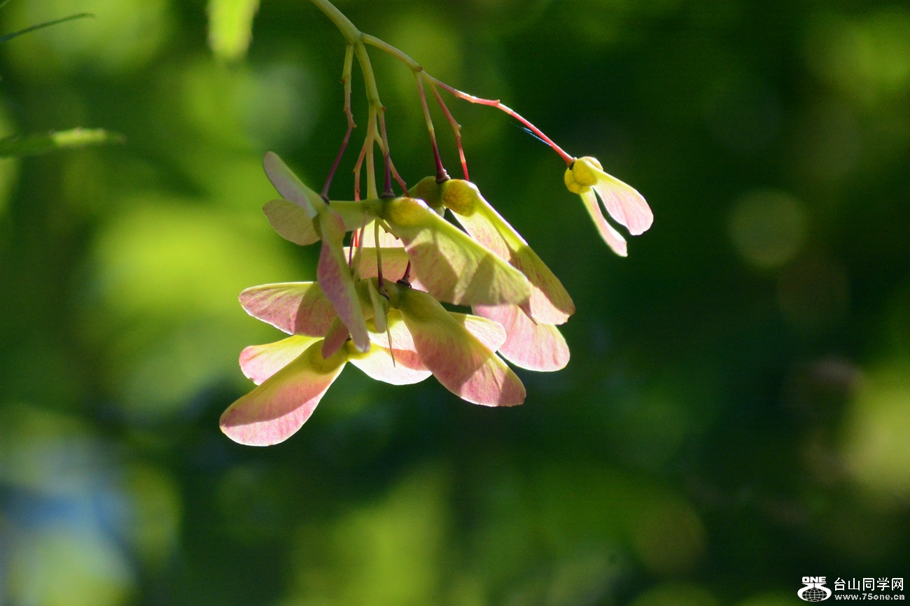 DSC_6399_52.jpg