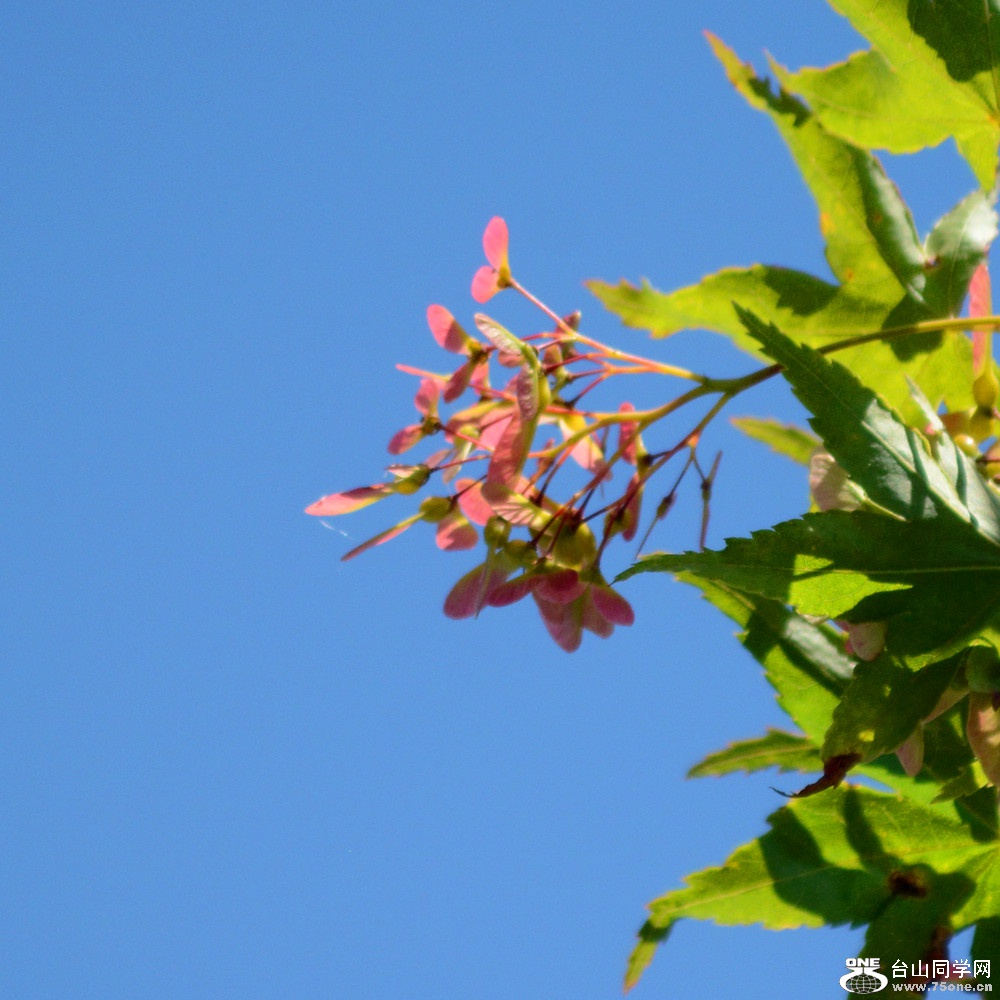 DSC_6566_5.jpg