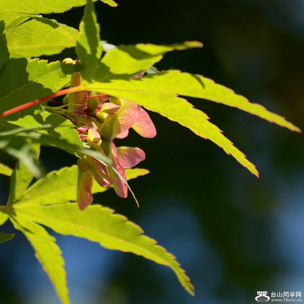 DSC_6427_44.jpg
