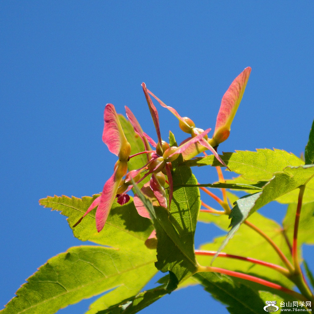 DSC_6492_27.jpg