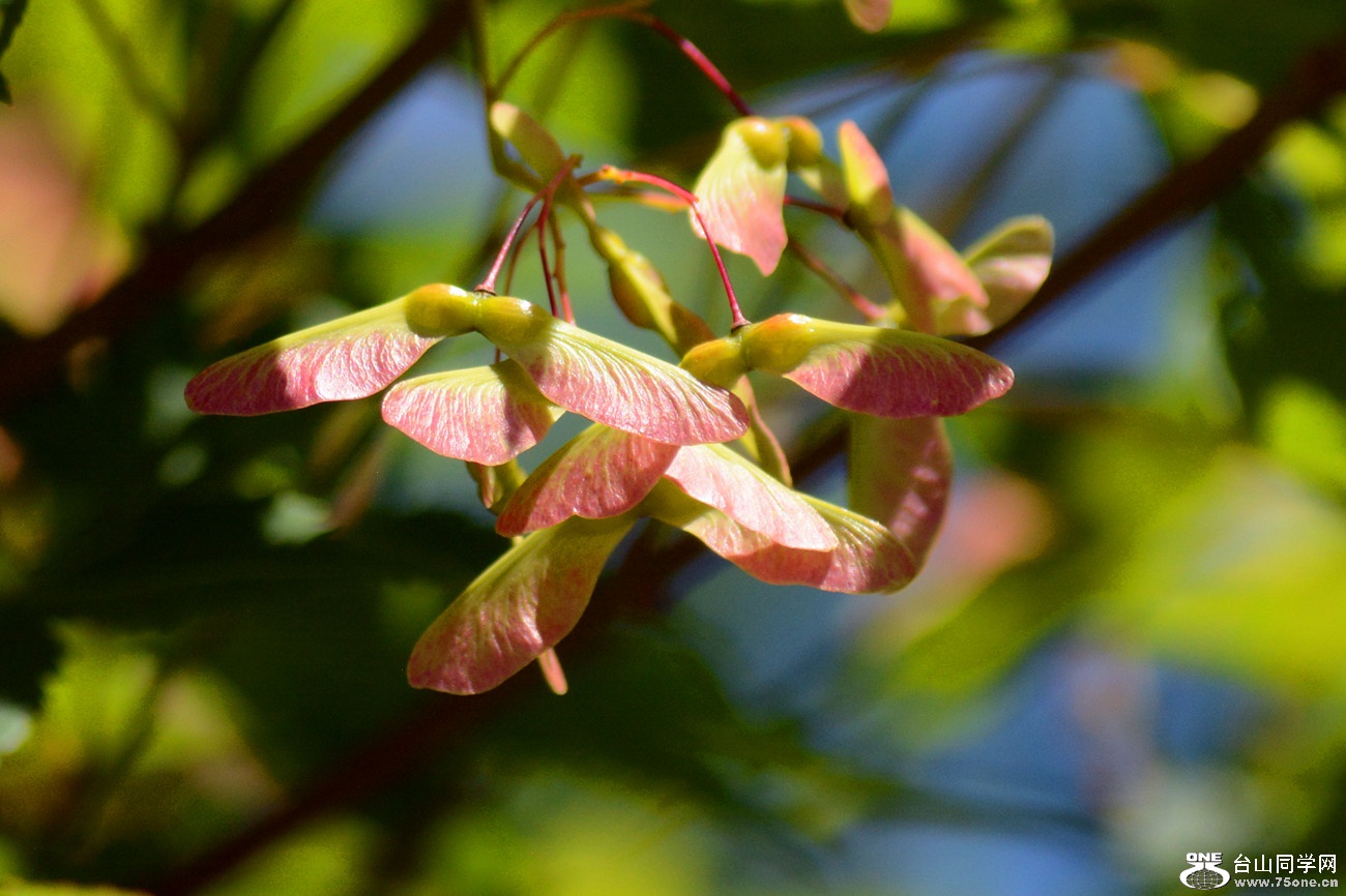 DSC_6421_47.jpg