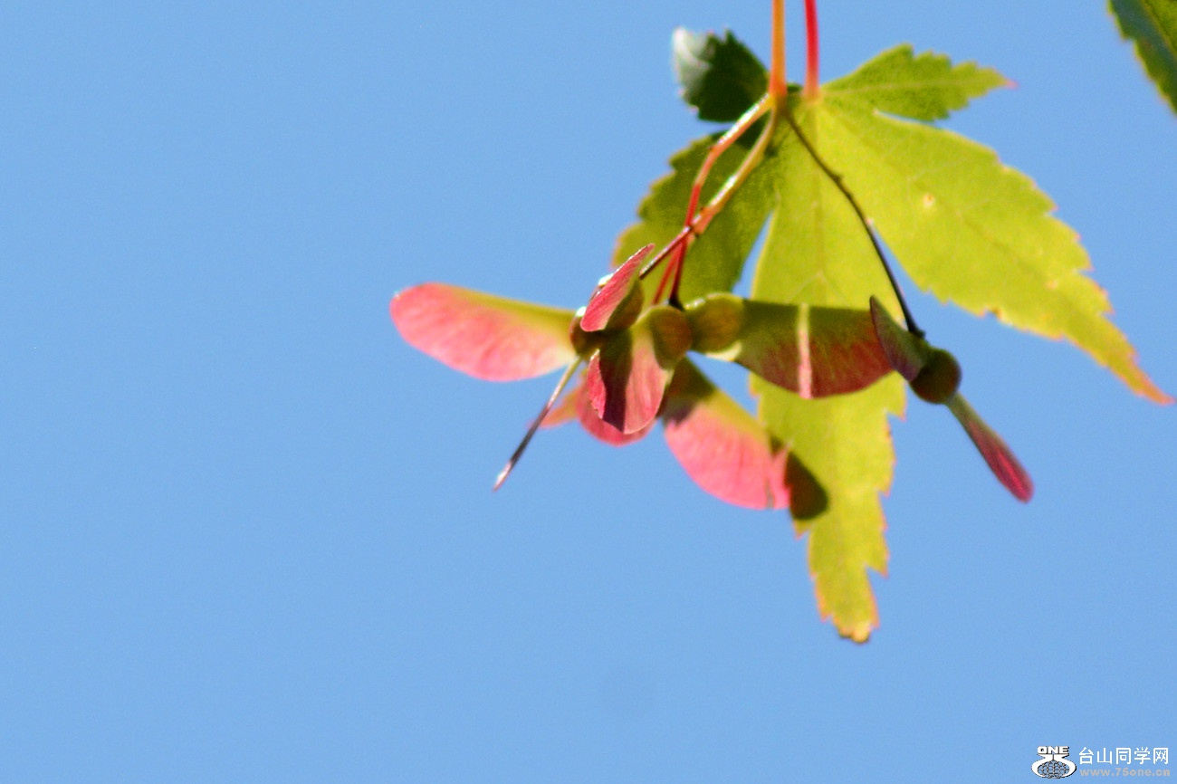 DSC_6475_30.jpg