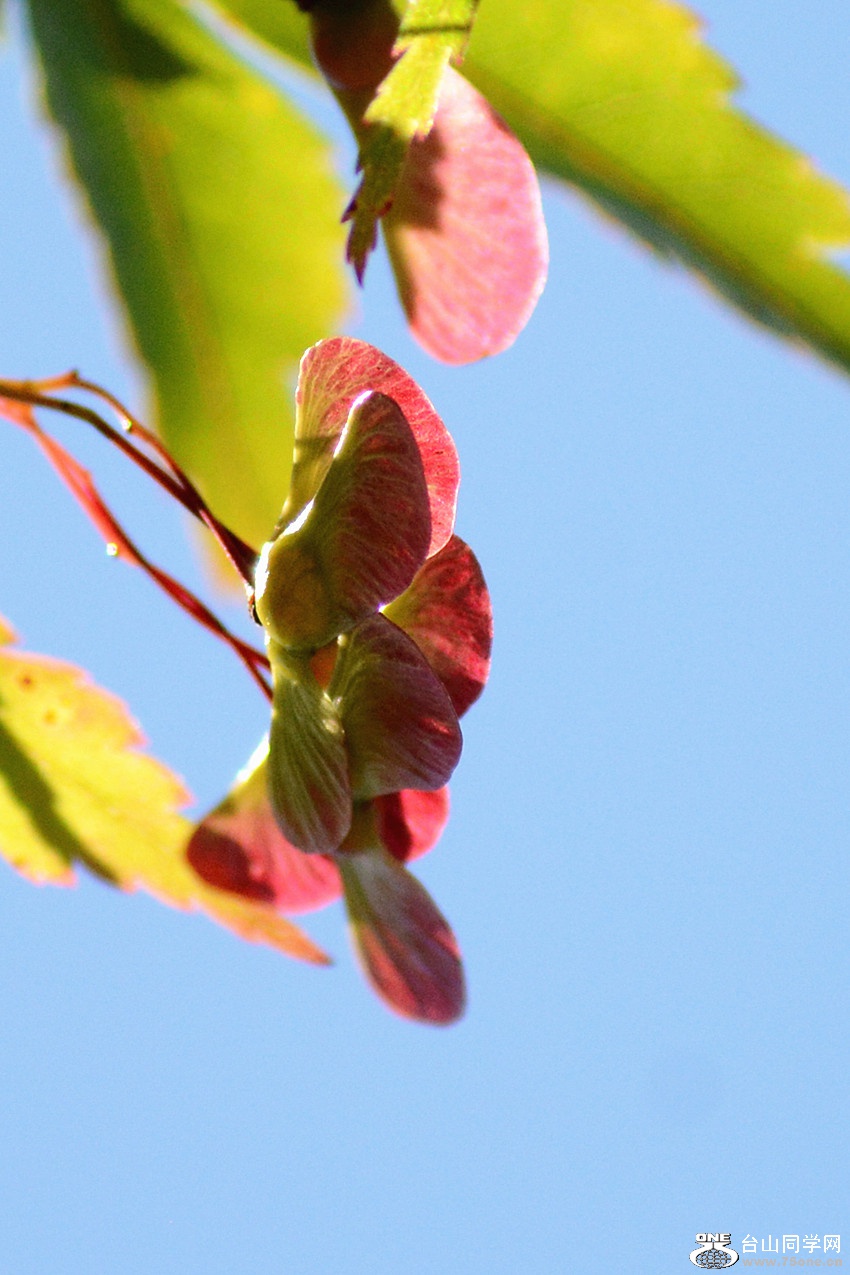 DSC_6483_29.jpg