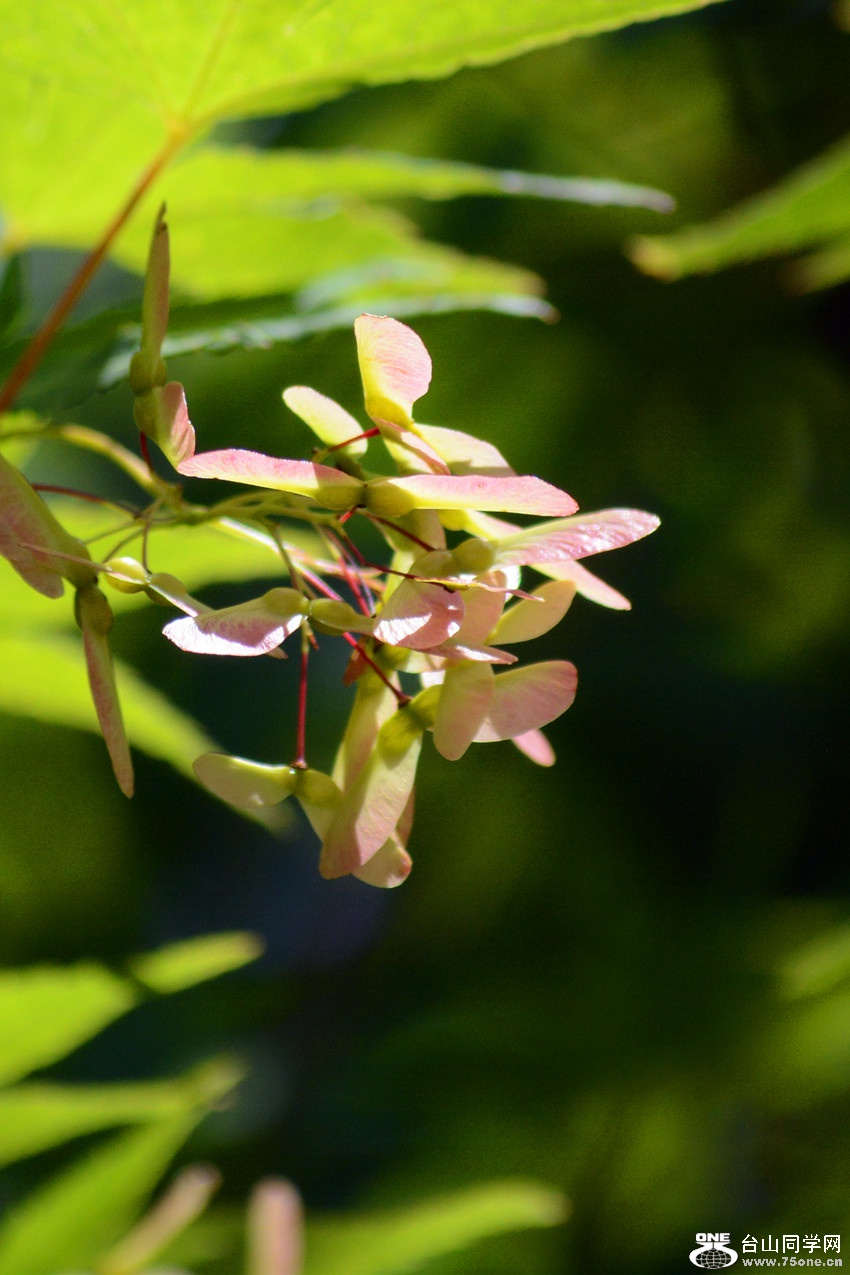 DSC_6497_24.jpg