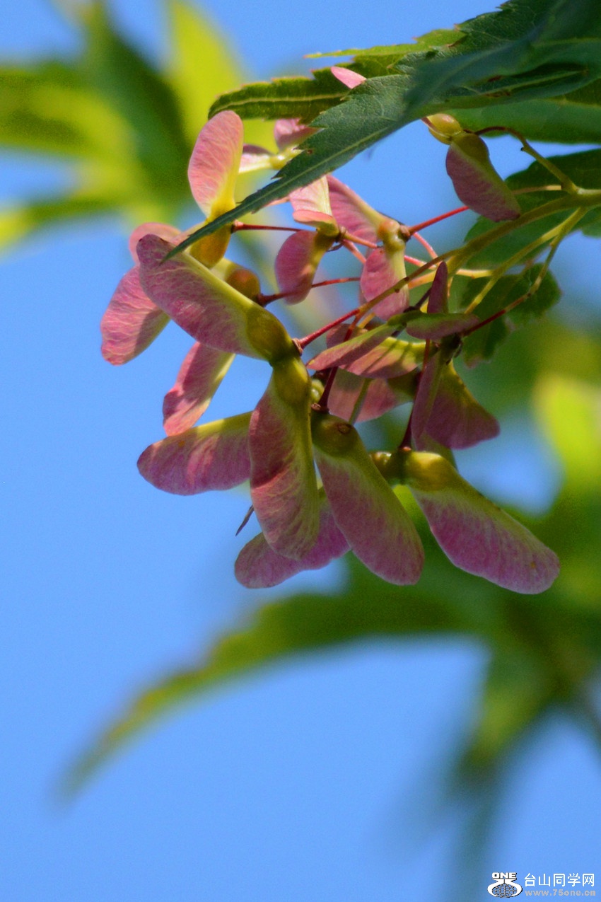DSC_6412_49.jpg